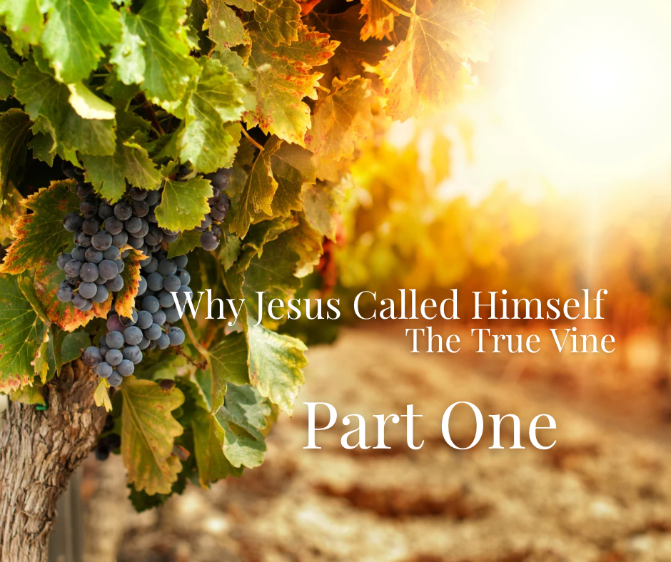Why Jesus Called Himself the True Vine Pt.&nbsp;1